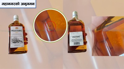  ‘मुस्ताङ गोल्ड’मा झिँगा, २ लाख जरिवाना 